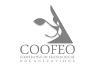 Coofeo